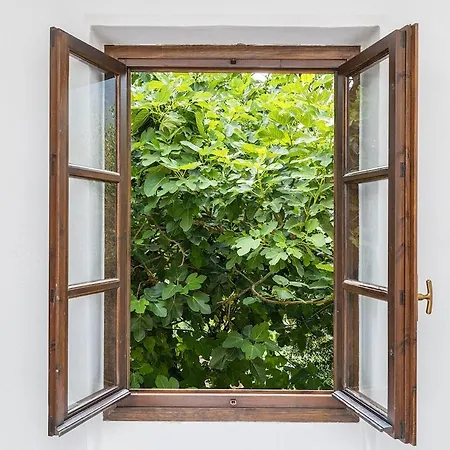 Dimora Concept - Casa Laetitia 度假居